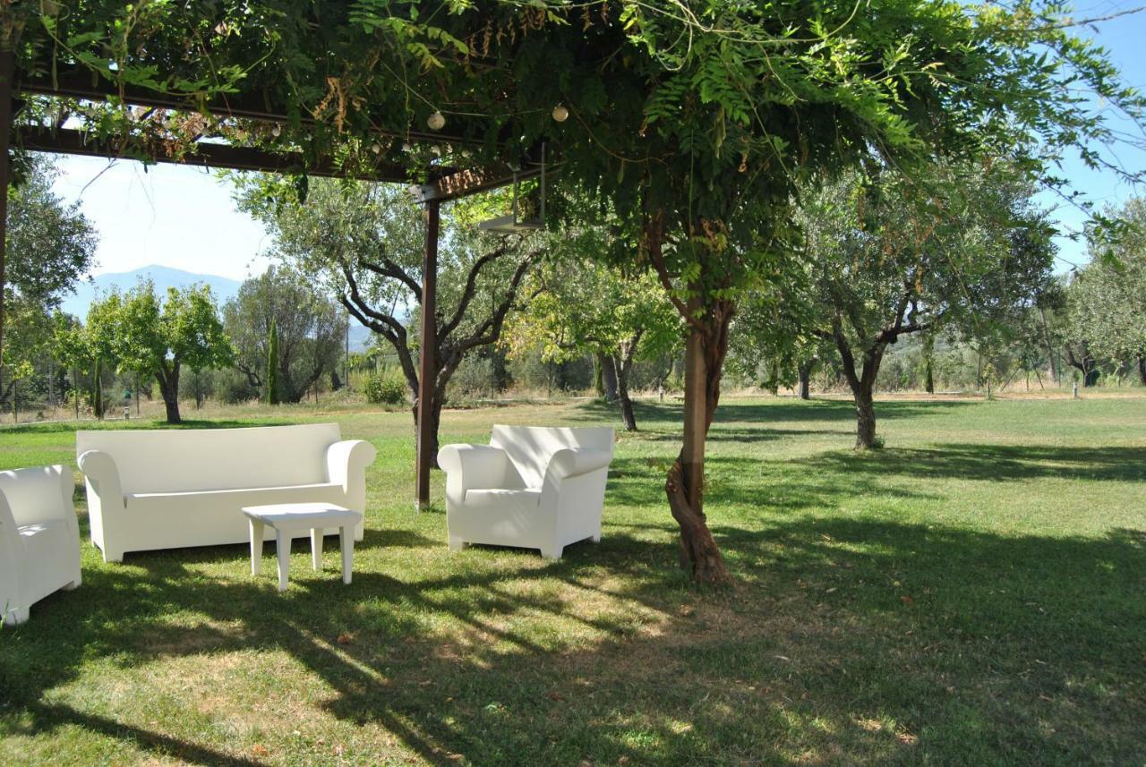 Corbezzolo Bed & Breakfast Vallo della Lucania Luaran gambar