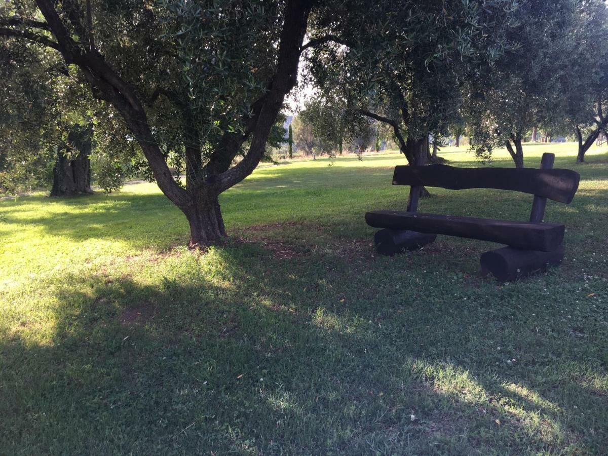 Corbezzolo Bed & Breakfast Vallo della Lucania Luaran gambar