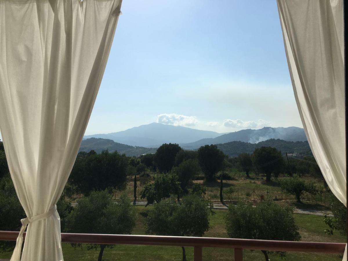 Corbezzolo Bed & Breakfast Vallo della Lucania Luaran gambar