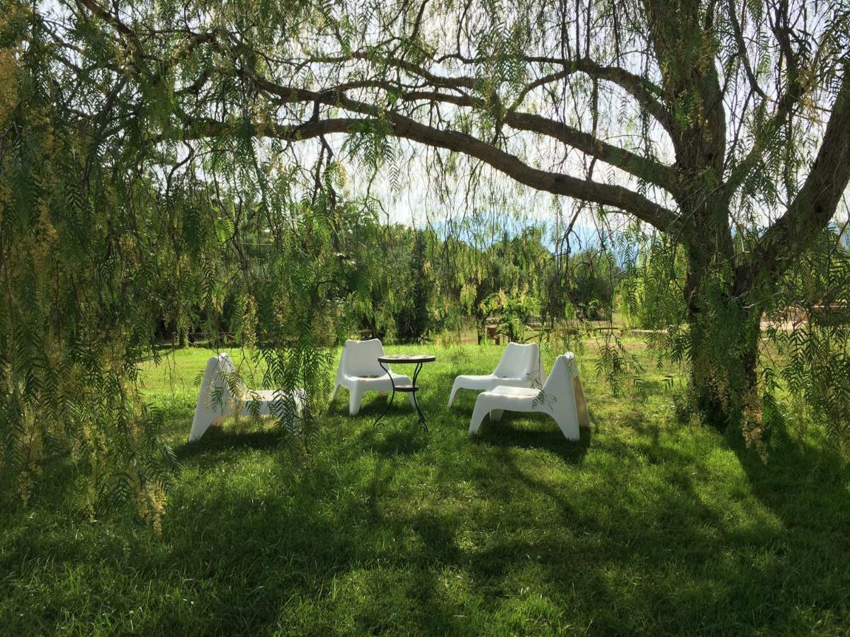 Corbezzolo Bed & Breakfast Vallo della Lucania Luaran gambar